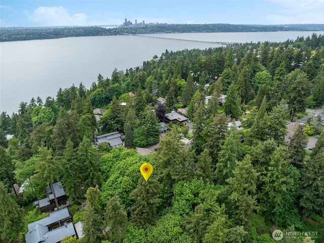 73XX SE 38th St, Mercer Island, WA 98040 - photo 3