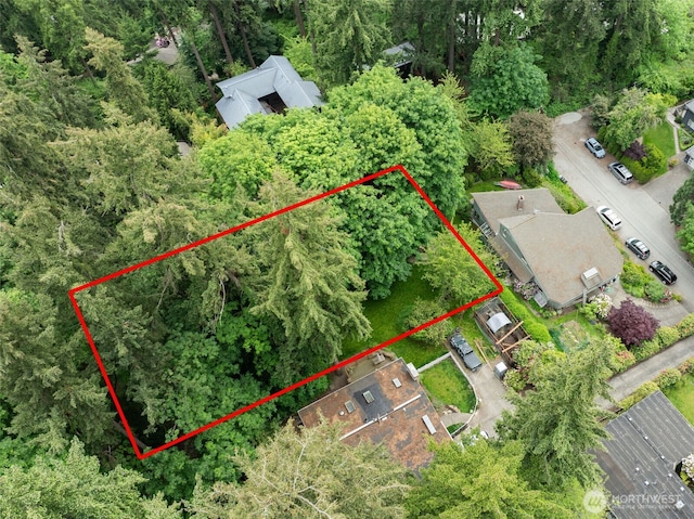 73XX SE 38th St, Mercer Island, WA 98040 - photo 5