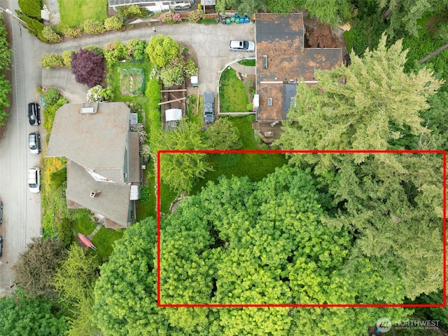 73XX SE 38th St, Mercer Island, WA 98040 - photo 6
