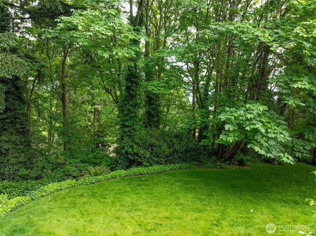73XX SE 38th St, Mercer Island, WA 98040 - photo 7