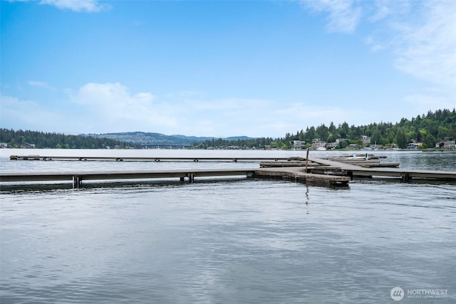 73XX SE 38th St, Mercer Island, WA 98040 - photo 9