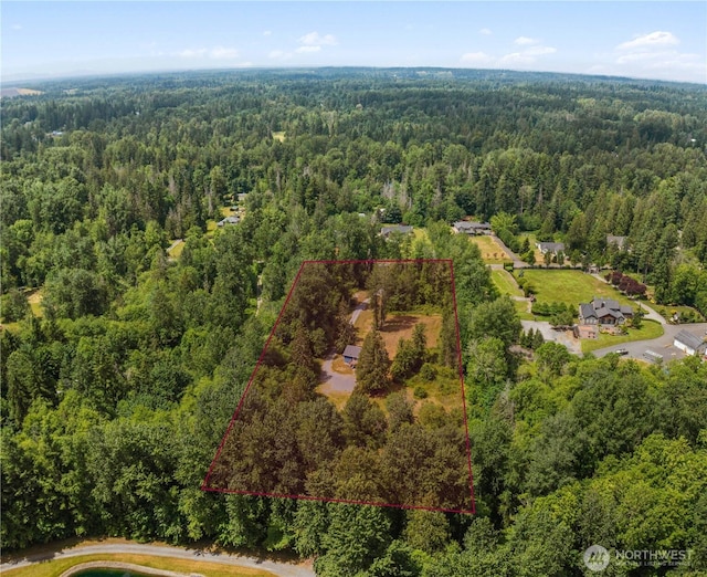 29319 132nd Ave E, Graham, WA 98338 - view of property location with property parcel outlined