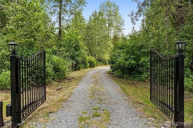 29319 132nd Ave E, Graham, WA 98338 - view of street featuring a gate, a gated entry, and a view of trees