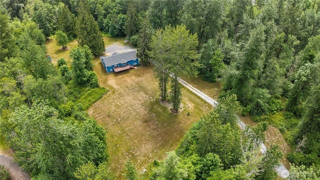29319 132nd Ave E, Graham, WA 98338 - aerial view of property and surrounding area