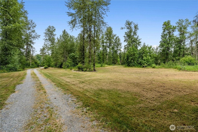 29319 132nd Ave E, Graham, WA 98338 - view of dirt / gravel road featuring a view of trees