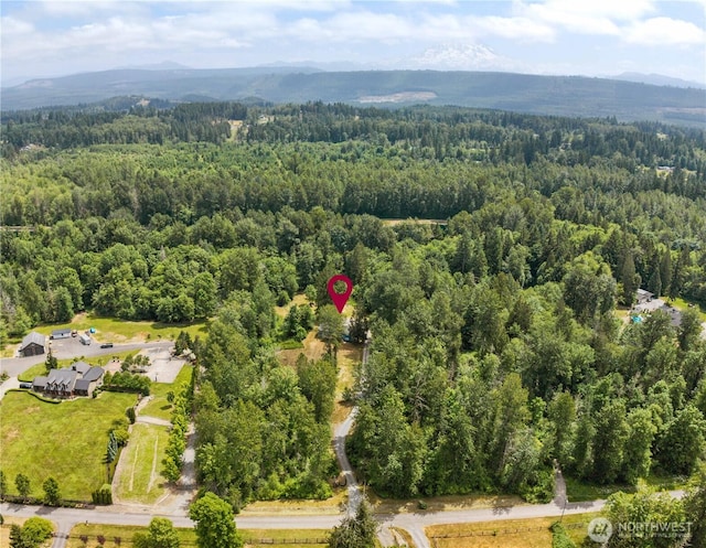 29319 132nd Ave E, Graham, WA 98338 - bird's eye view of a forest and mountains