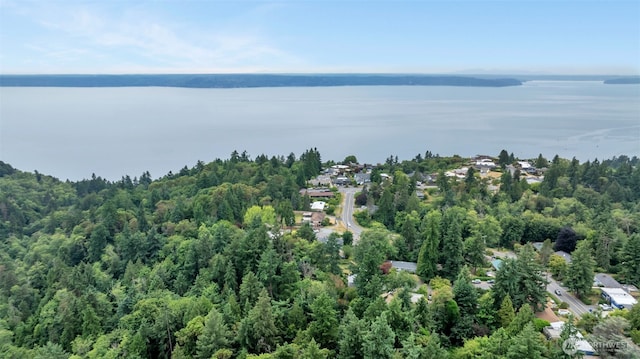 13102 16th Ave SW, Burien, WA 98146 - aerial view of property's location featuring a large body of water and a heavily wooded area