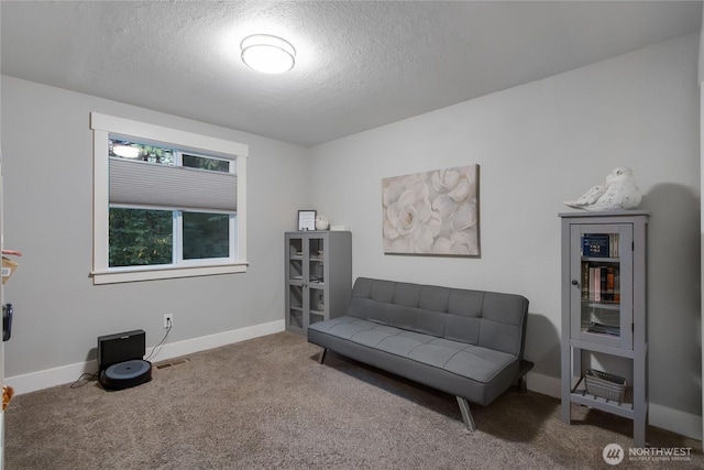 11108 Pilchuck Ct SE, Olympia, WA 98501 - sitting room with a textured ceiling and carpet