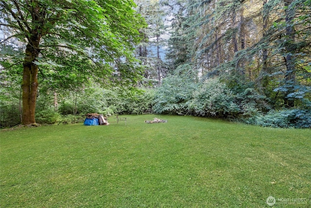 11108 Pilchuck Ct SE, Olympia, WA 98501 - view of green lawn