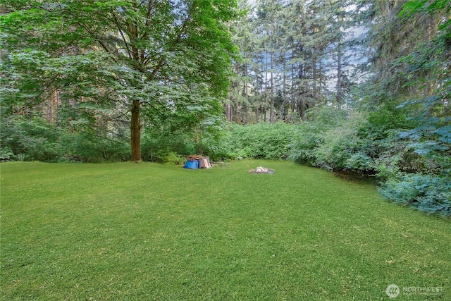 11108 Pilchuck Ct SE, Olympia, WA 98501 - view of green lawn featuring a shed