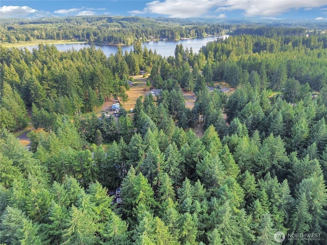 11108 Pilchuck Ct SE, Olympia, WA 98501 - aerial view of property and surrounding area with a nearby body of water