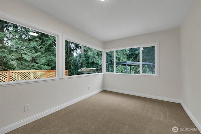 16121 Cedar Grove Rd SE, Issaquah, WA 98027 - carpeted spare room with baseboards