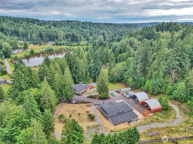 16121 Cedar Grove Rd SE, Issaquah, WA 98027 - view of property location with a forest and a nearby body of water