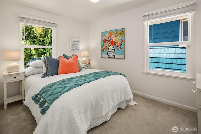 6045 36th Ave SW, Seattle, WA 98126 - bedroom with carpet floors