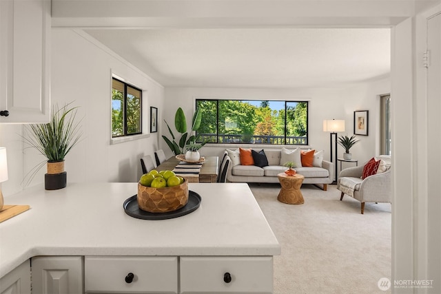 6045 36th Ave SW, Seattle, WA 98126 - carpeted living area featuring healthy amount of natural light