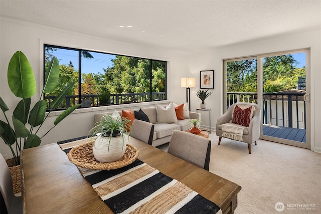 6045 36th Ave SW, Seattle, WA 98126 - living room featuring healthy amount of natural light and light colored carpet