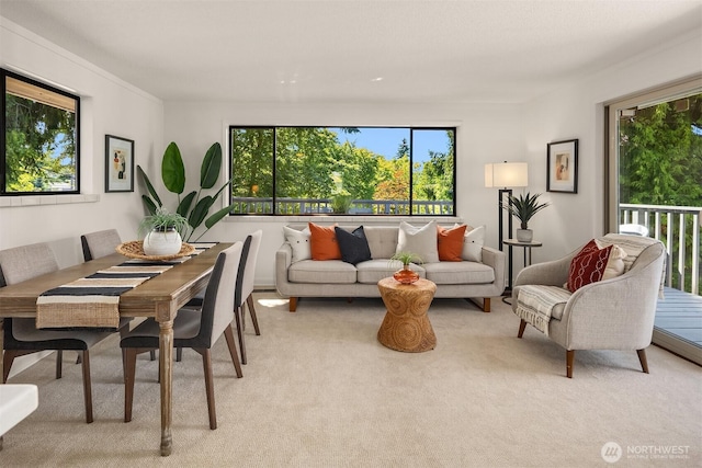 6045 36th Ave SW, Seattle, WA 98126 - living area with plenty of natural light and light carpet