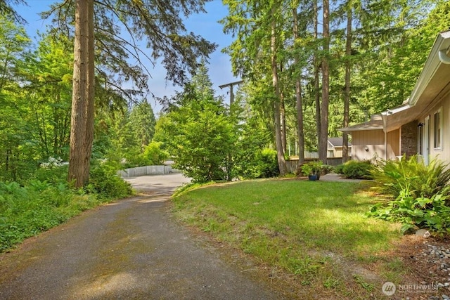 18020 SE 146th St, Renton, WA 98059 - view of community