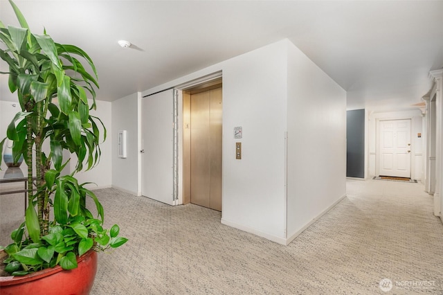 11011 NE 12th St Unit 501, Bellevue, WA 98004 - hall featuring elevator and carpet flooring
