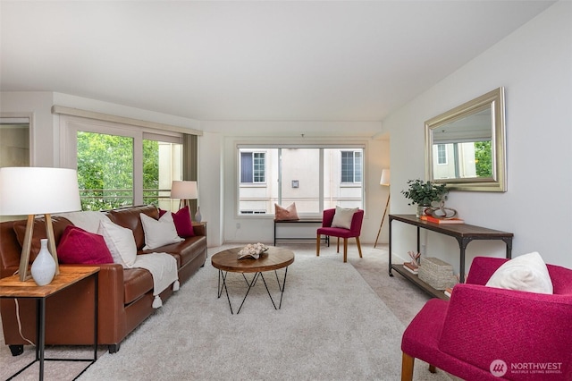 11011 NE 12th St Unit 501, Bellevue, WA 98004 - living room with carpet floors