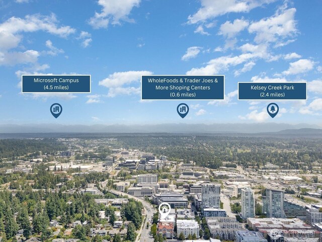11011 NE 12th St Unit 501, Bellevue, WA 98004 - view of urban area with mountains
