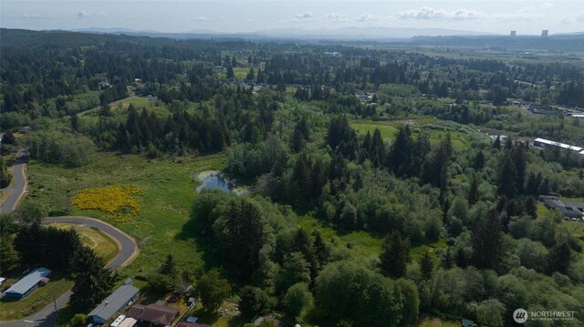 0 Lake Dr, Montesano, WA 98569 - photo 3