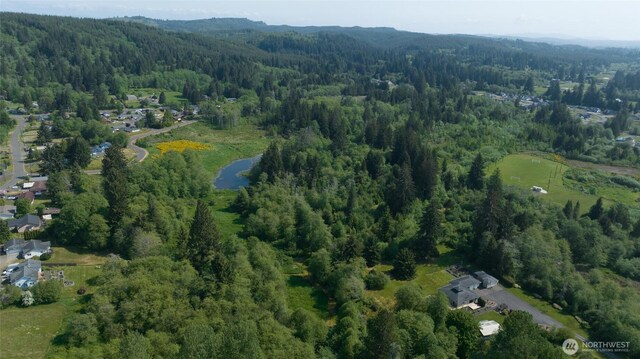 0 Lake Dr, Montesano, WA 98569 - photo 4