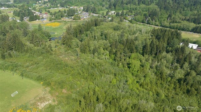 0 Lake Dr, Montesano, WA 98569 - photo 7