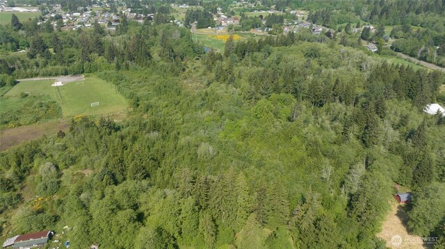 0 Lake Dr, Montesano, WA 98569 - photo 8