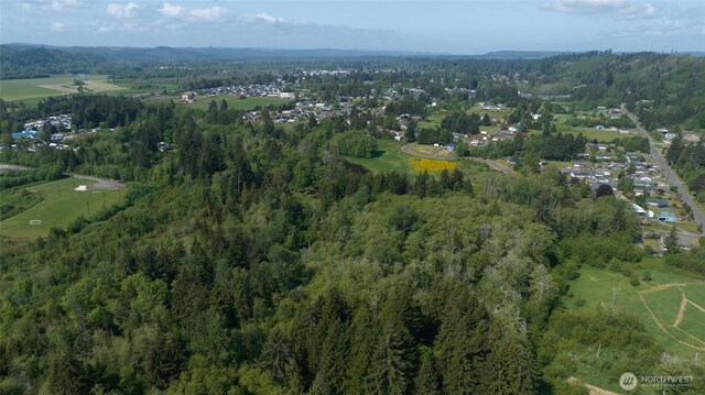 0 Lake Dr, Montesano, WA 98569 - photo 12
