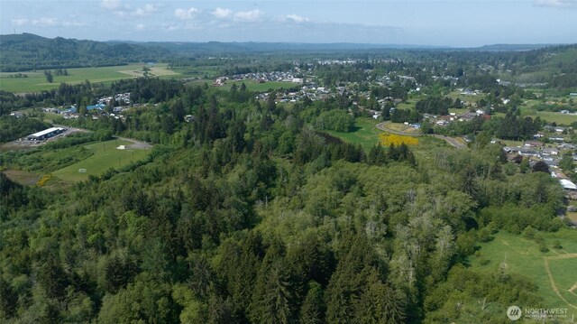 0 Lake Dr, Montesano, WA 98569 - photo 13