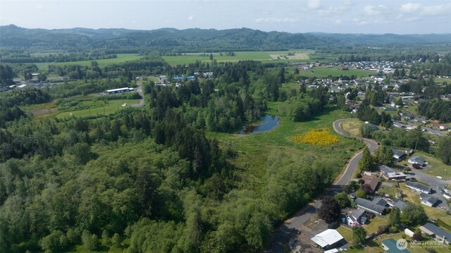 0 Lake Dr, Montesano, WA 98569 - photo 14