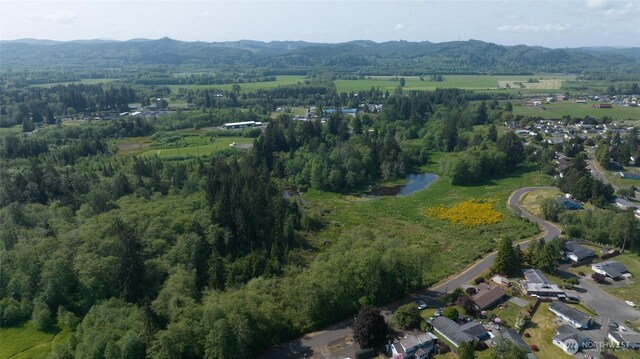 0 Lake Dr, Montesano, WA 98569 - photo 15