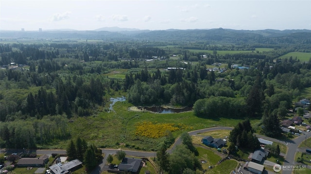 0 Lake Dr, Montesano, WA 98569 - photo 17