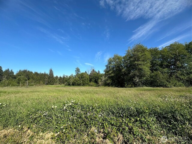 0 Lake Dr, Montesano, WA 98569 - photo 18