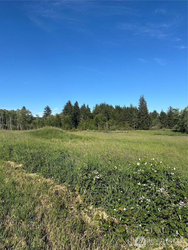 0 Lake Dr, Montesano, WA 98569 - photo 19