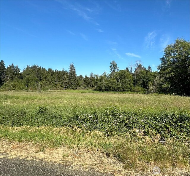 0 Lake Dr, Montesano, WA 98569 - photo 20