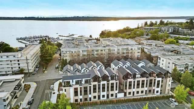 118B 2nd St S, Kirkland, WA 98033 - drone / aerial view of a nearby body of water