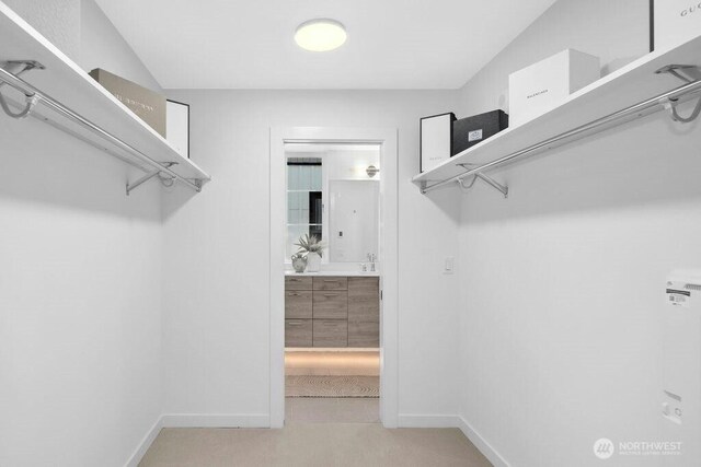 118B 2nd St S, Kirkland, WA 98033 - walk in closet featuring light colored carpet