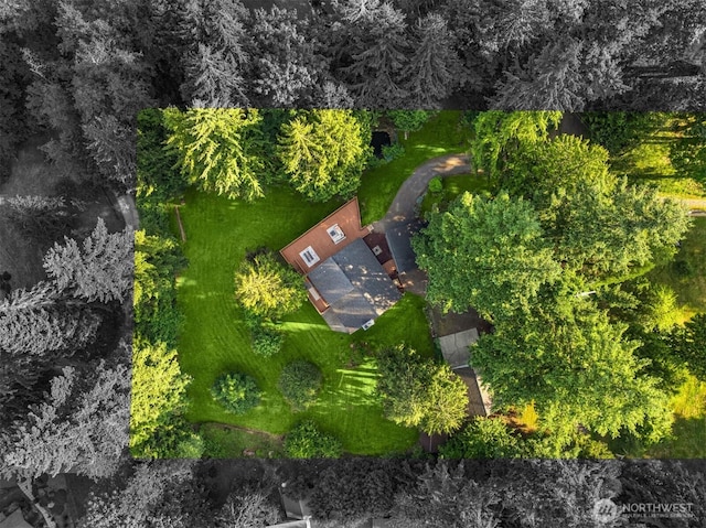 15400 230th Ave SE, Issaquah, WA 98027 - bird's eye view
