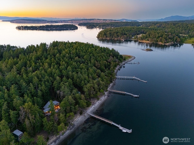 40 Driftwood Shrs, Henry Island, WA 98250 - drone / aerial view of a large body of water and a forest