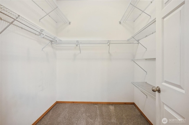 1855 Trossachs Blvd SE Unit 2002, Sammamish, WA 98075 - spacious closet with carpet flooring