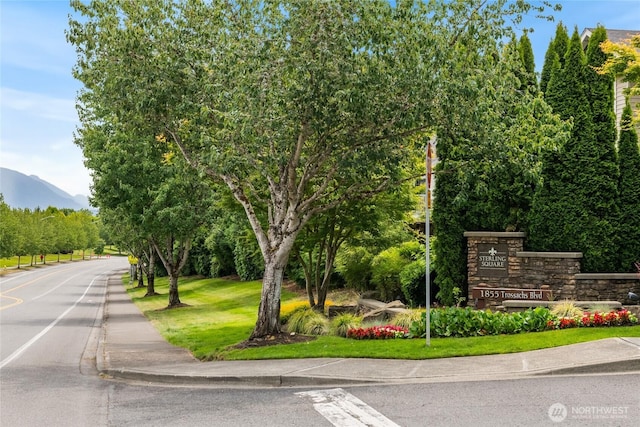 1855 Trossachs Blvd SE Unit 2002, Sammamish, WA 98075 - view of asphalt road with a mountain view, sidewalks, and curbs