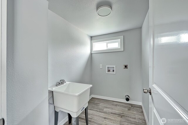 1942 Trigg Rd Unit 38, Ferndale, WA 98248 - laundry area featuring electric dryer hookup, wood finished floors, and washer hookup