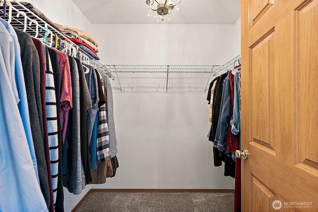 209 Groff Ave NW, Orting, WA 98360 - spacious closet featuring carpet flooring