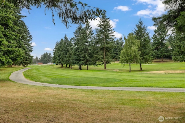 4714 Fairwood Blvd NE Unit 201, Tacoma, WA 98422 - view of home's community with a lawn, view of scattered trees, and view of golf course