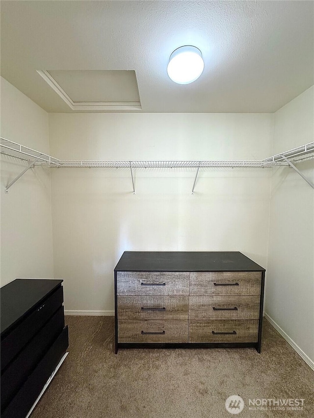 4714 Fairwood Blvd NE Unit 201, Tacoma, WA 98422 - spacious closet featuring carpet and attic access