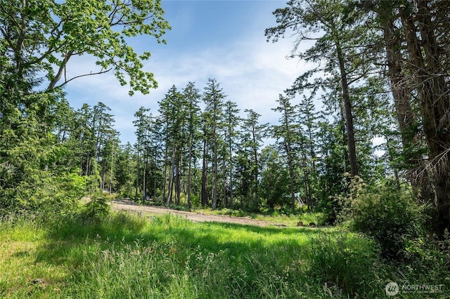 36 Pavey Blvd, Lopez Island, WA 98261