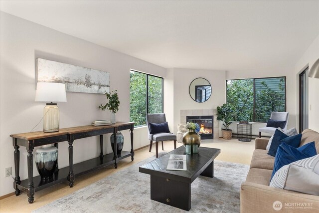 3256 SW Avalon St Unit 304, Seattle, WA 98126 - living area featuring a fireplace and baseboards