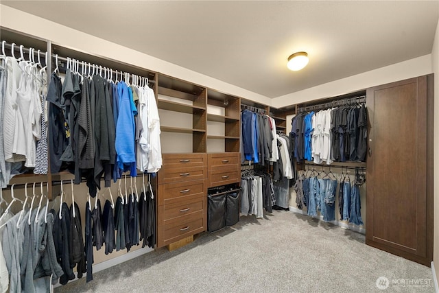 21230 SE 258th Pl, Maple Valley, WA 98038 - walk in closet featuring carpet